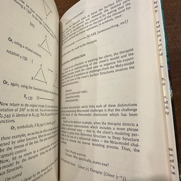 The Structure of Magic 2 Volume Set Grinder And Bandler vintage grannycore - Picture 5 of 16